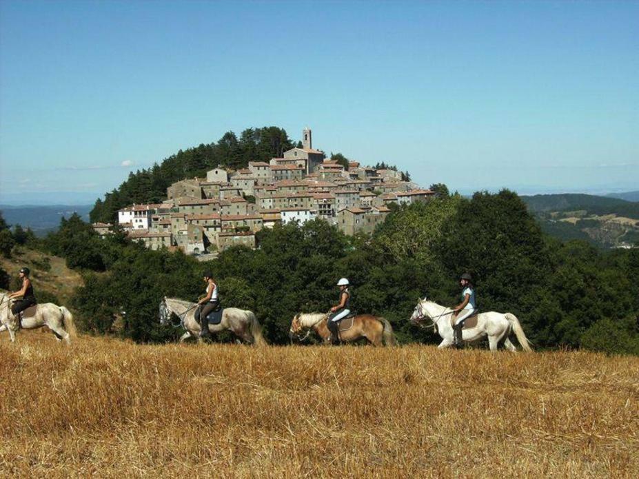Luciano E Norma House Il Rustico Villa Gerfalco Buitenkant foto